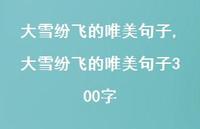 大雪纷飞的唯美句子300字【精品文案100句】