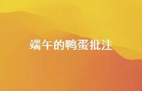 端午的鸭蛋批注【100句精选短句合集】