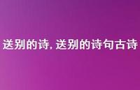 送别的诗句古诗【精品文案100句】