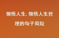 领悟人生哲理的句子简短【100句文案精选】