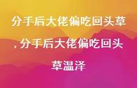 分手后大佬偏吃回头草温泽(100句)