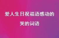 爱人生日祝福语感动的哭的词语69句汇总