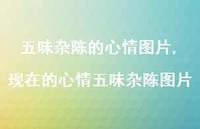现在的心情五味杂陈图片(100句) 现在的心情五味杂陈图片(100句)