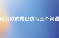 剪刀似的尾巴仿写三个词语【100句精选短句合集】 剪刀似的尾巴仿写三个词语【100句精选短句合集】