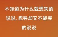 想哭却又不能哭的说说(100句)