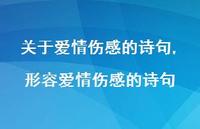 形容爱情伤感的诗句【精品文案100句】