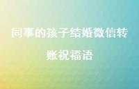 同事的孩子结婚微信转账祝福语合集45句精选