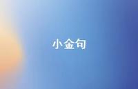小金句62句汇总 小金句62句汇总