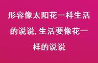 生活要像花一样的说说(100句) 生活要像花一样的说说(100句)