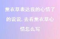 去看薰衣草心情怎么写(100句) 去看薰衣草心情怎么写(100句)