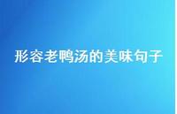 形容老鸭汤的美味句子【100句精选短句合集】 形容老鸭汤的美味句子【100句精选短句合集】