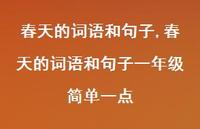 春天的词语和句子一年级简单一点【精品文案100句】