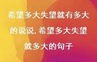 希望多大失望就多大的句子(100句)
