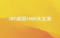 TNT成团1000天文案【100句精选短句合集】 TNT成团1000天文案【100句精选短句合集】