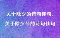 关于除夕节的诗句佳句【精品文案100句】 关于除夕节的诗句佳句【精品文案100句】