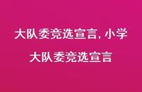 小学大队委竞选宣言【100句文案精选】