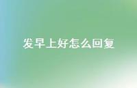 发早上好怎么回复64句汇总