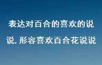 形容喜欢百合花说说【精选100句】