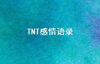 TNT感情语录【100句精选短句合集】 TNT感情语录【100句精选短句合集】