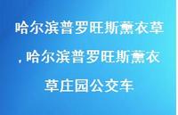 哈尔滨普罗旺斯薰衣草庄园公交车(100句) 哈尔滨普罗旺斯薰衣草庄园公交车(100句)