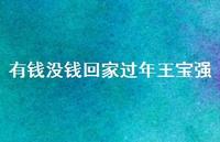 有钱没钱回家过年王宝强49句汇总 有钱没钱回家过年王宝强49句汇总