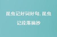昆虫记段落摘抄【100句文案精选】 昆虫记段落摘抄【100句文案精选】