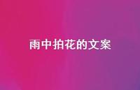 雨中拍花的文案【100句精选短句合集】