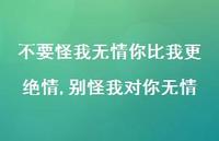 别怪我对你无情(100句) 别怪我对你无情(100句)