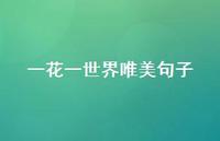 一花一世界唯美句子【100句精选短句合集】