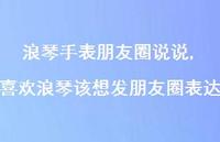 喜欢浪琴该想发朋友圈表达【精选100句】