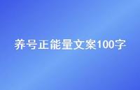 养号正能量文案100字39句汇总 养号正能量文案100字39句汇总
