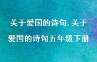 关于爱国的诗句五年级下册【精品文案100句】