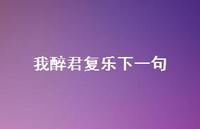 我醉君复乐下一句69句汇总 我醉君复乐下一句69句汇总