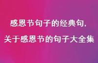 关于感恩节的句子大全集【精品文案100句】
