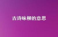 古诗咏柳的意思63句汇总