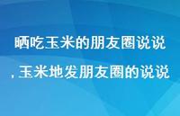 玉米地发朋友圈的说说(100句) 玉米地发朋友圈的说说(100句)