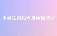 小学生简短评语集锦30字73句汇总 小学生简短评语集锦30字73句汇总