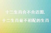 十二生肖最不相配的生肖【100句文案】