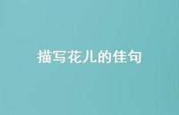 描写花儿的佳句75句汇总