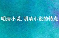 明清小说的特点【精品文案100句】 明清小说的特点【精品文案100句】