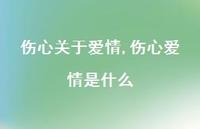 伤心爱情是什么(100句)
