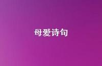 母爱诗句63句汇总