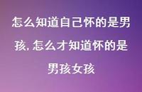 怎么才知道怀的是男孩女孩(100句) 怎么才知道怀的是男孩女孩(100句)