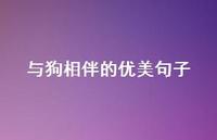 与狗相伴的优美句子(精选71句) 与狗相伴的优美句子(精选71句)