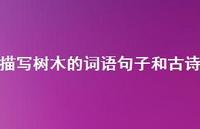 描写树木的词语句子和古诗(精选36句)