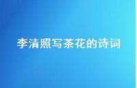 李清照写茶花的诗词(精选38句) 李清照写茶花的诗词(精选38句)