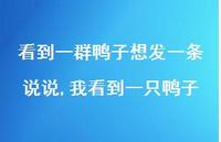 我看到一只鸭子(100句) 我看到一只鸭子(100句)
