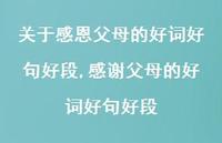 感谢父母的好词好句好段(100句) 感谢父母的好词好句好段(100句)