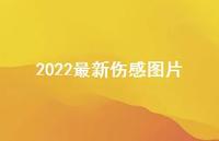 2022较新伤感图片42句汇总