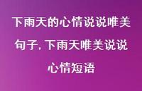 下雨天唯美说说心情短语【100句文案】